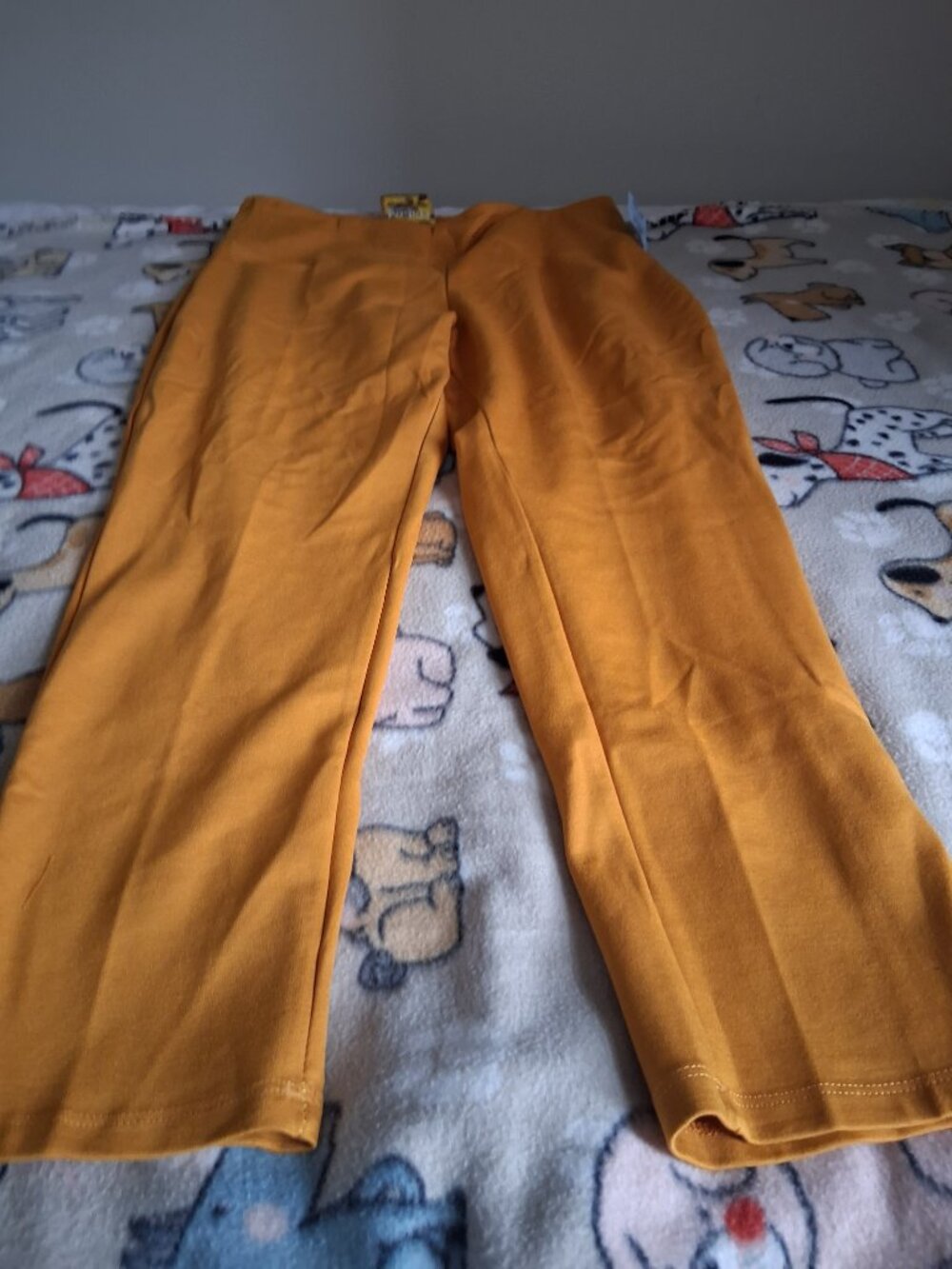 womans dress pants